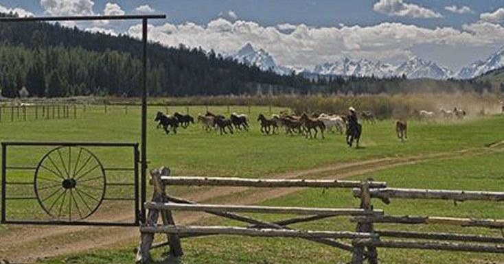 The Turpin Meadow Ranch 호텔 모란 외부 사진