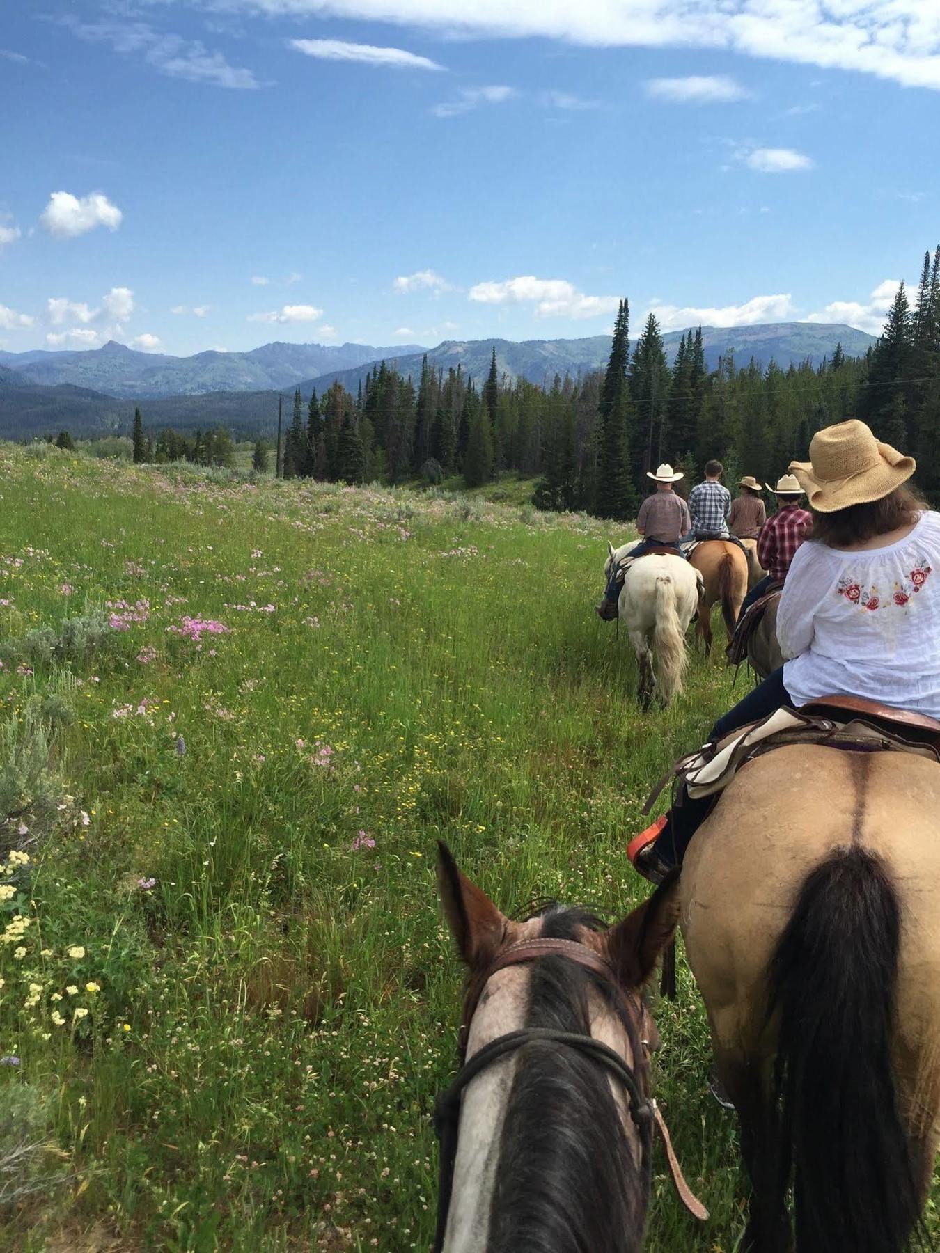 The Turpin Meadow Ranch 호텔 모란 외부 사진