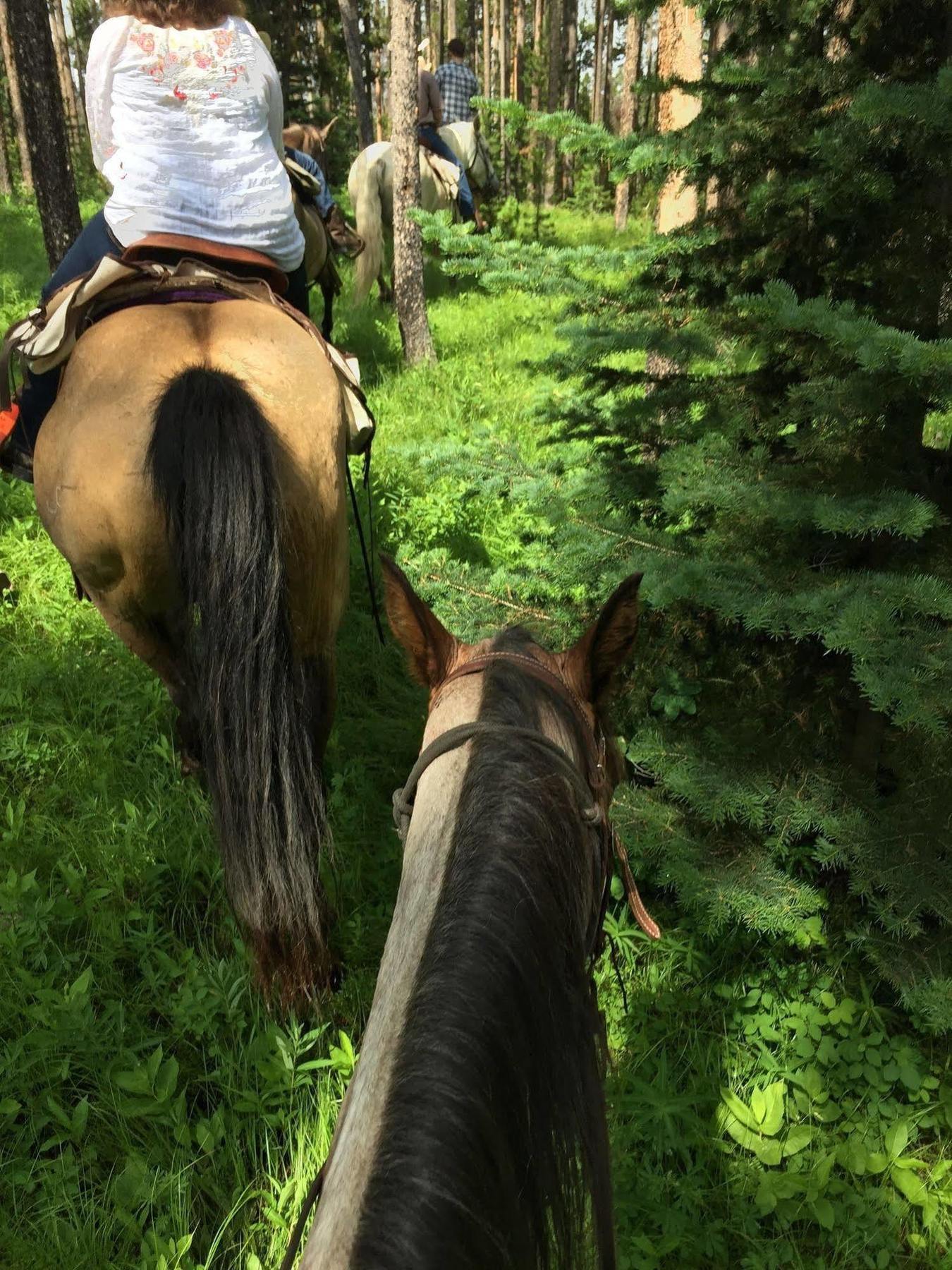 The Turpin Meadow Ranch 호텔 모란 외부 사진