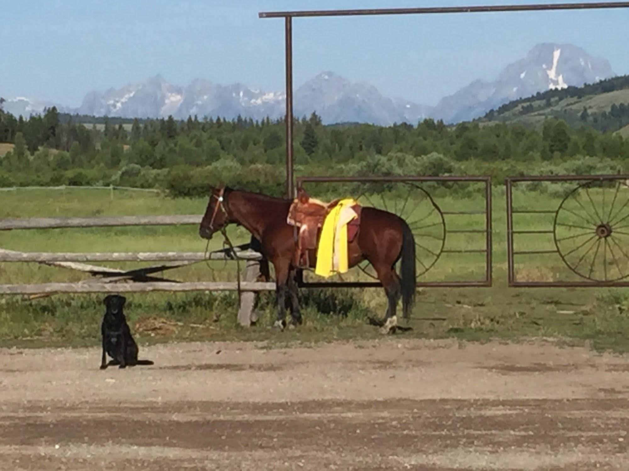 The Turpin Meadow Ranch 호텔 모란 외부 사진