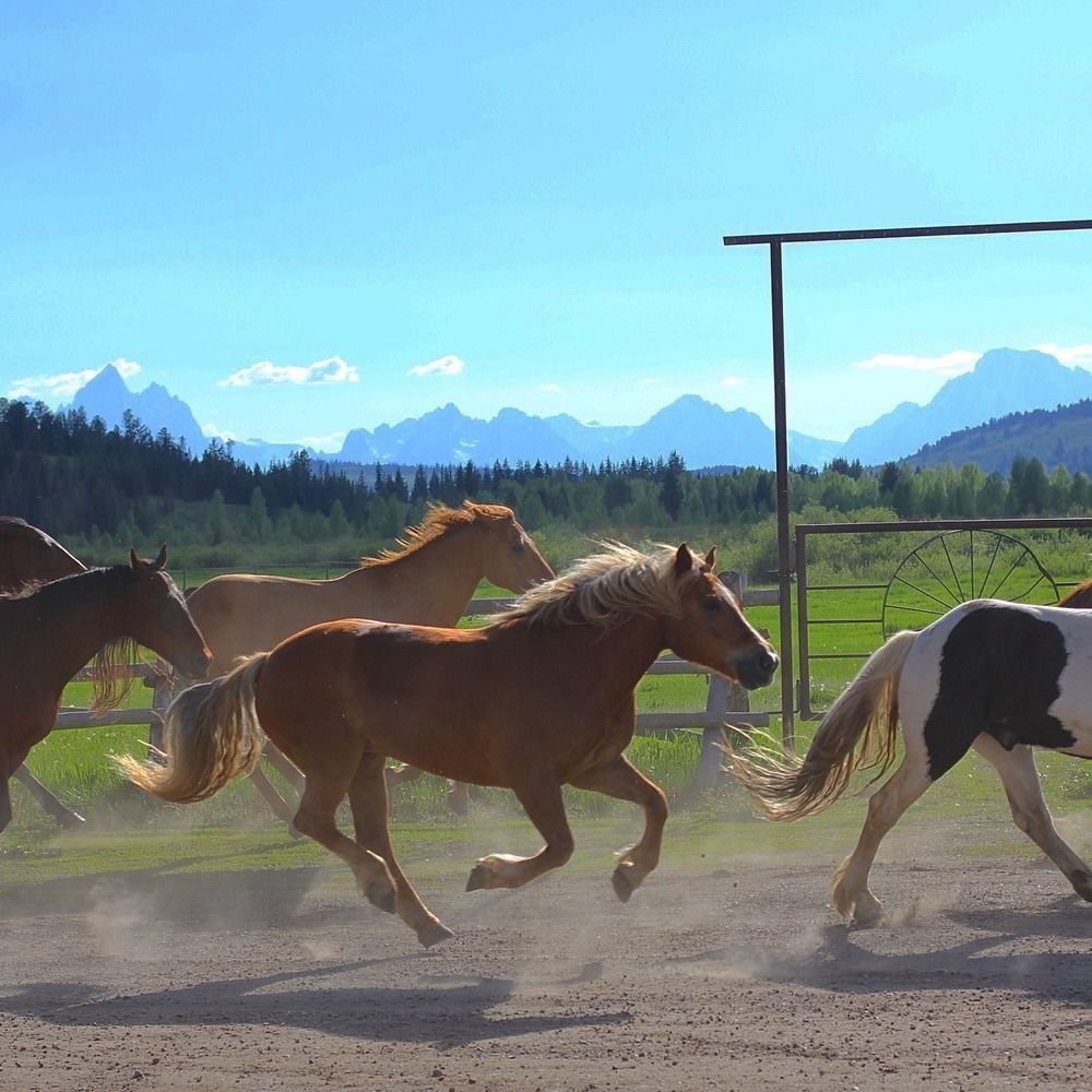 The Turpin Meadow Ranch 호텔 모란 외부 사진